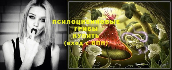 стафф Волоколамск