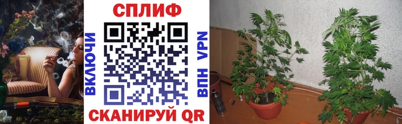 Марихуана OG Kush  Чухлома 